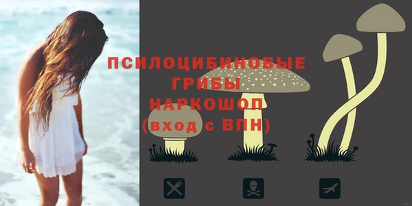 экстази Покачи