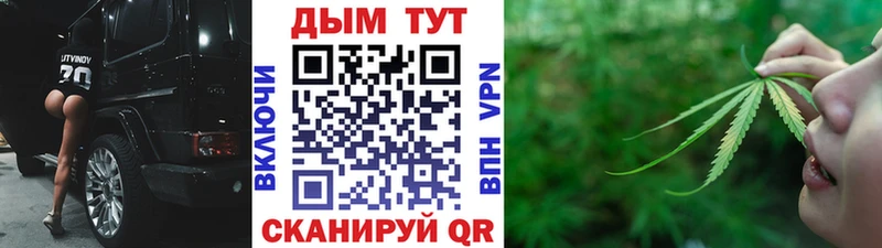 Шишки марихуана SATIVA & INDICA  цены наркотик  Касли 